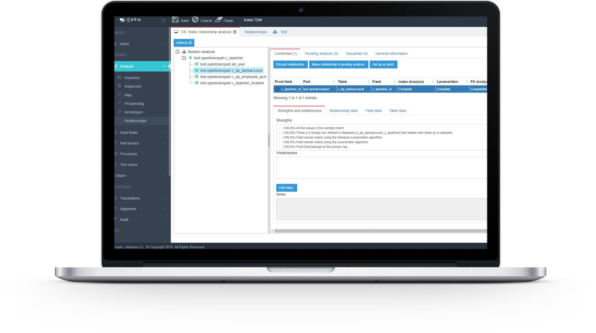 Static database analysis with icaria TDM