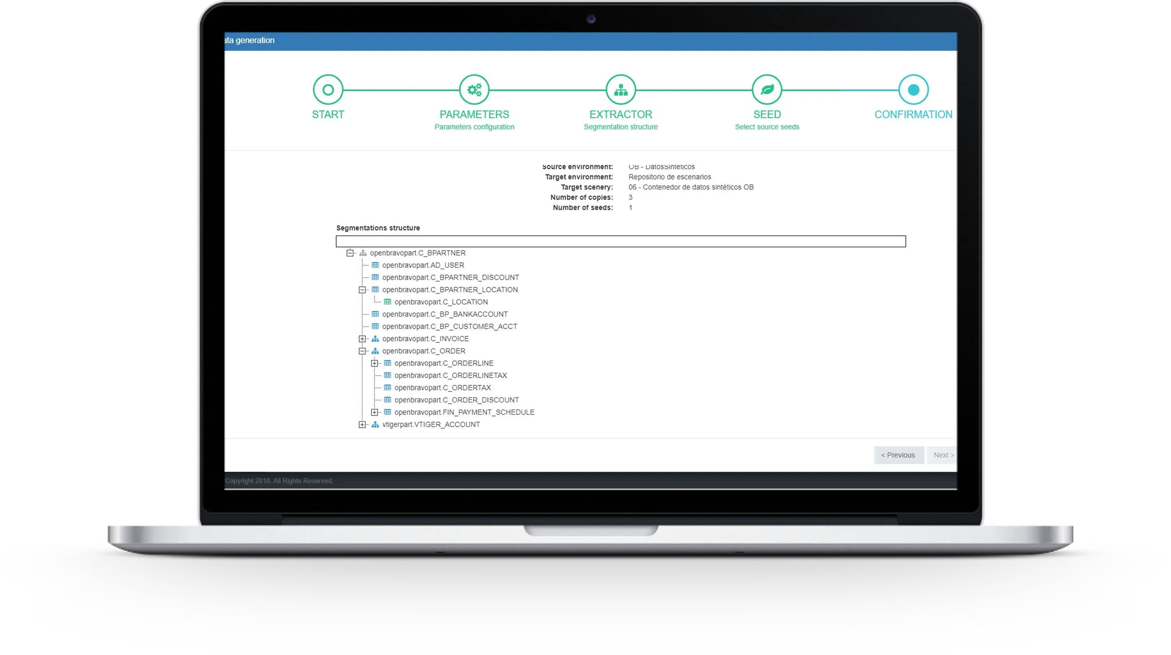 Synthetic data generation process summary before execution