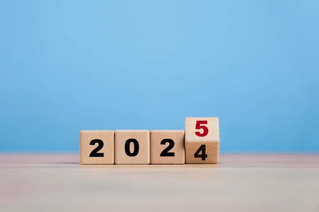 2024 in Retrospective and icaria Technology Roadmap for 2025