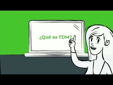 ¿Qué es TDM (Test Data Management) ?
